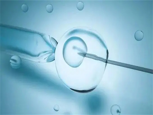 现在中国人做试管婴儿去哪国？专家解析全球热门目的地